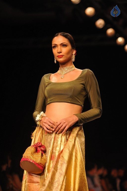 Celebrities at IIJW 2015 Show - 63 / 102 photos