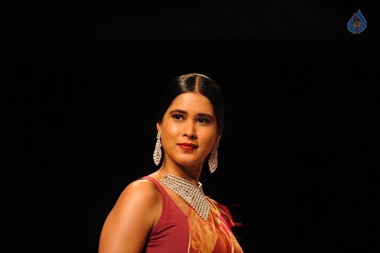Celebrities at IIJW 2015 Show - 70 / 102 photos