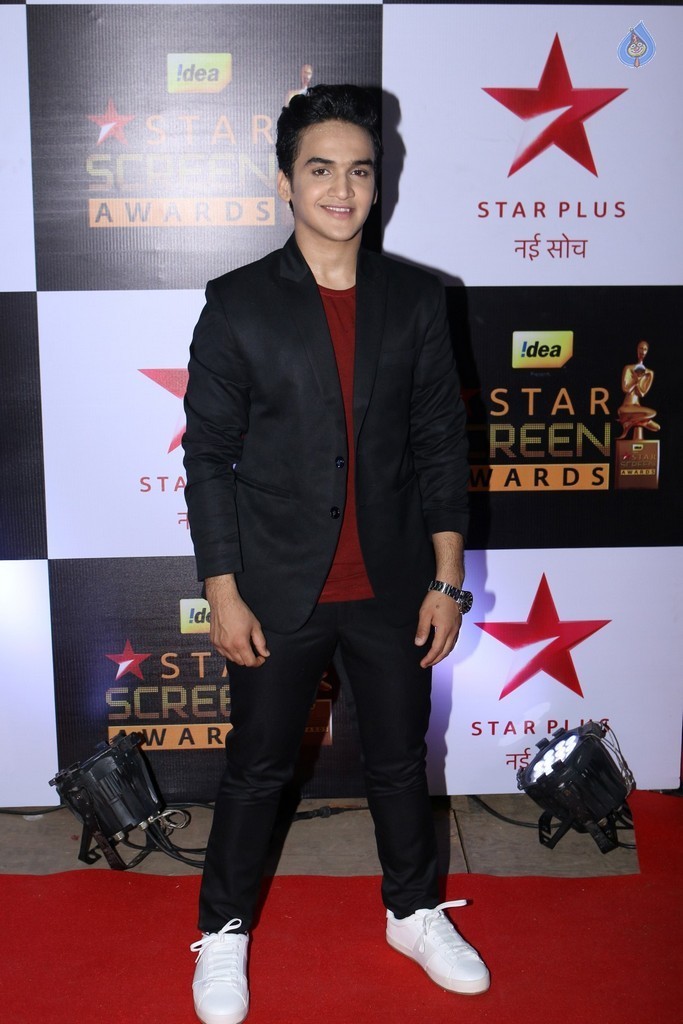 Celebrities at Star Screen Awards 2016 Event 1 - 19 / 71 photos