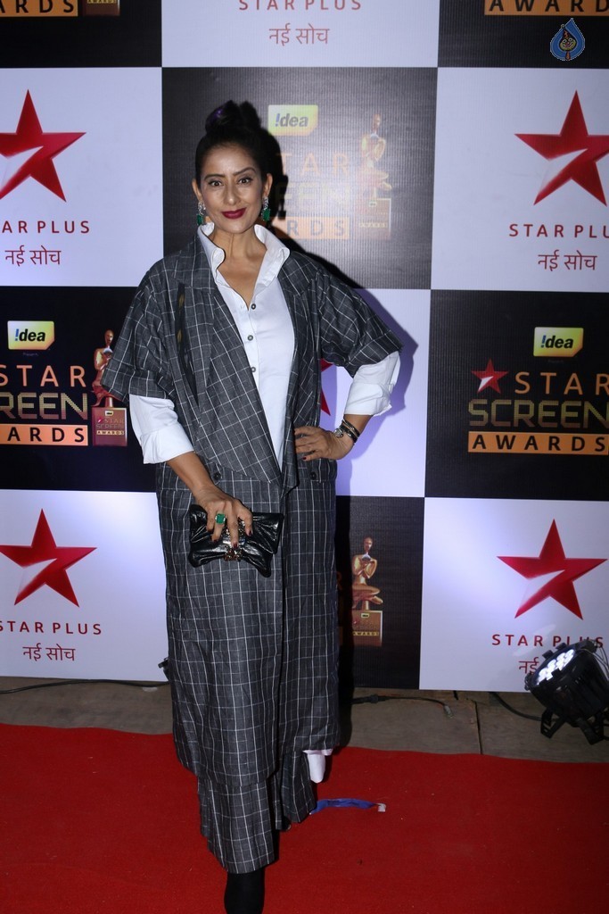 Celebrities at Star Screen Awards 2016 Event 1 - 36 / 71 photos