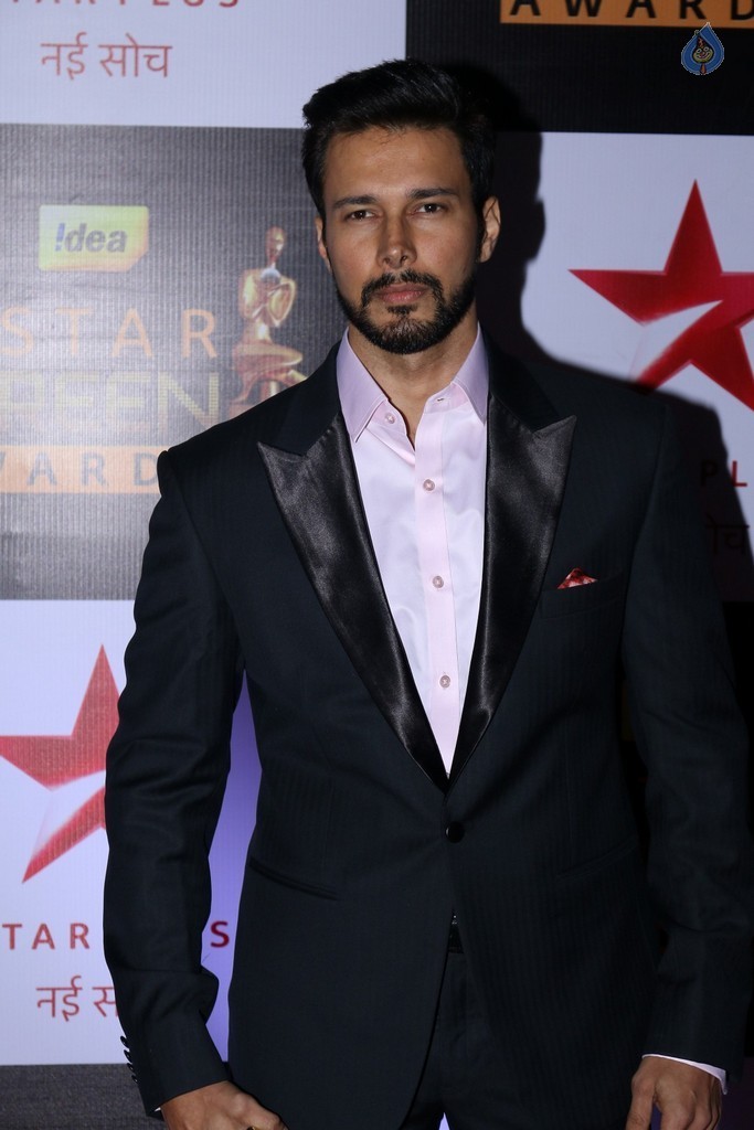 Celebrities at Star Screen Awards 2016 Event 1 - 43 / 71 photos