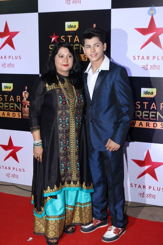 Celebrities at Star Screen Awards 2016 Event 1 - 69 / 71 photos