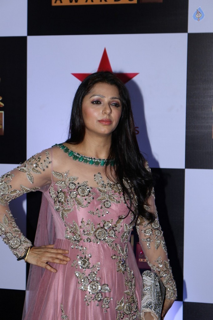 Celebrities at Star Screen Awards 2016 Event 1 - 71 / 71 photos