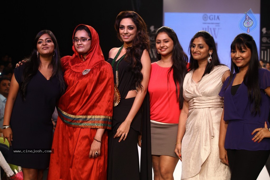 Celebrities Ramp Walk At IIJW 2013 - 35 / 90 photos