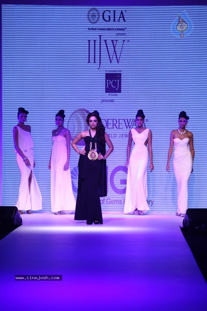 Celebrities Ramp Walk At IIJW 2013 - 83 / 90 photos
