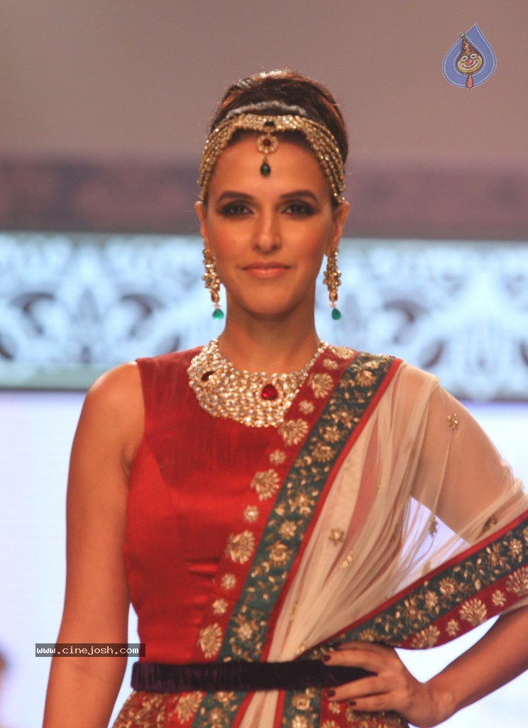 Celebrities Ramp Walk At IIJW 2013 - 89 / 90 photos