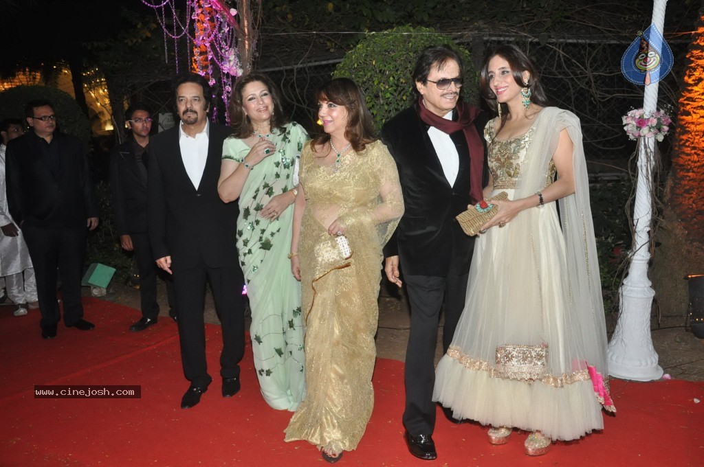 Celebs at Ahana Deol Wedding Reception - 28 / 115 photos