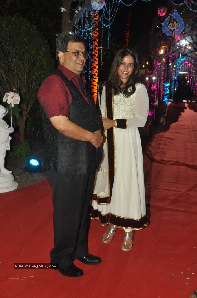 Celebs at Ahana Deol Wedding Reception - 31 / 115 photos