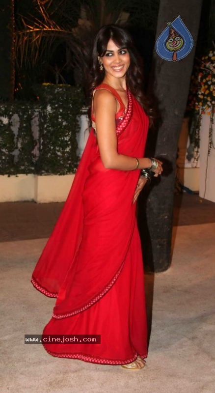 Celebs at Avantika Imran Khan Wedding Reception Set 02 - 21 / 119 photos