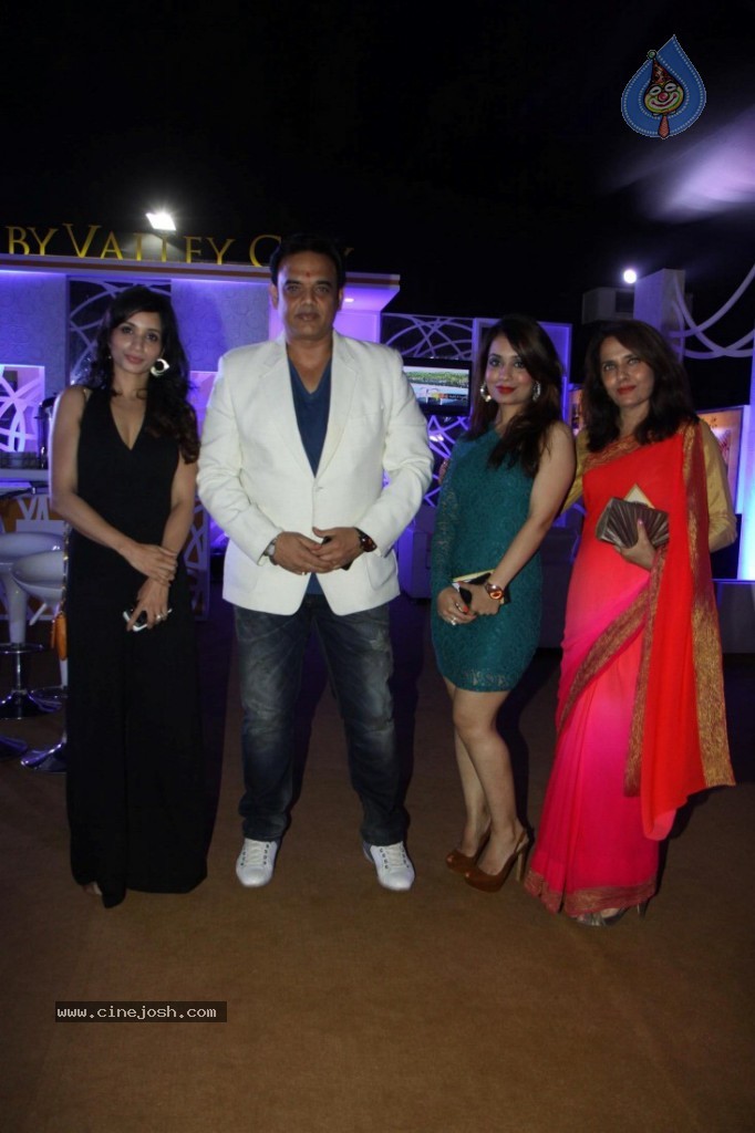 Celebs at AVIBW 2013 Grand Finale - 1 / 71 photos