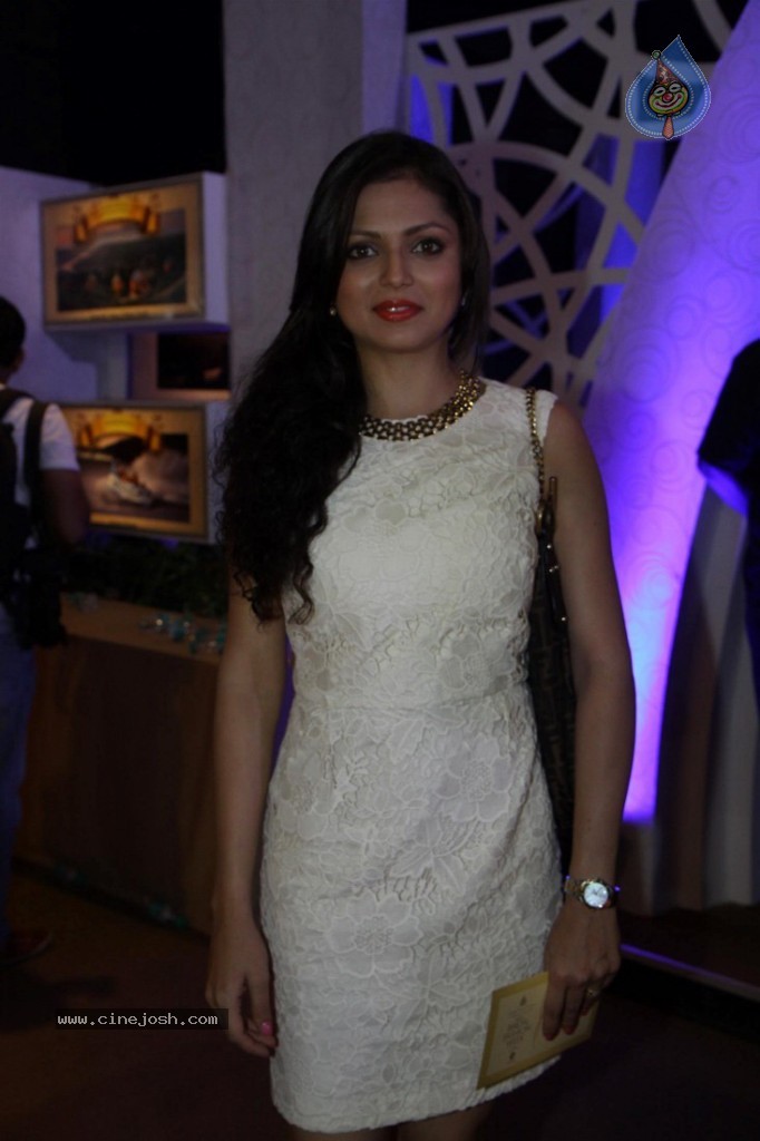 Celebs at AVIBW 2013 Grand Finale - 3 / 71 photos