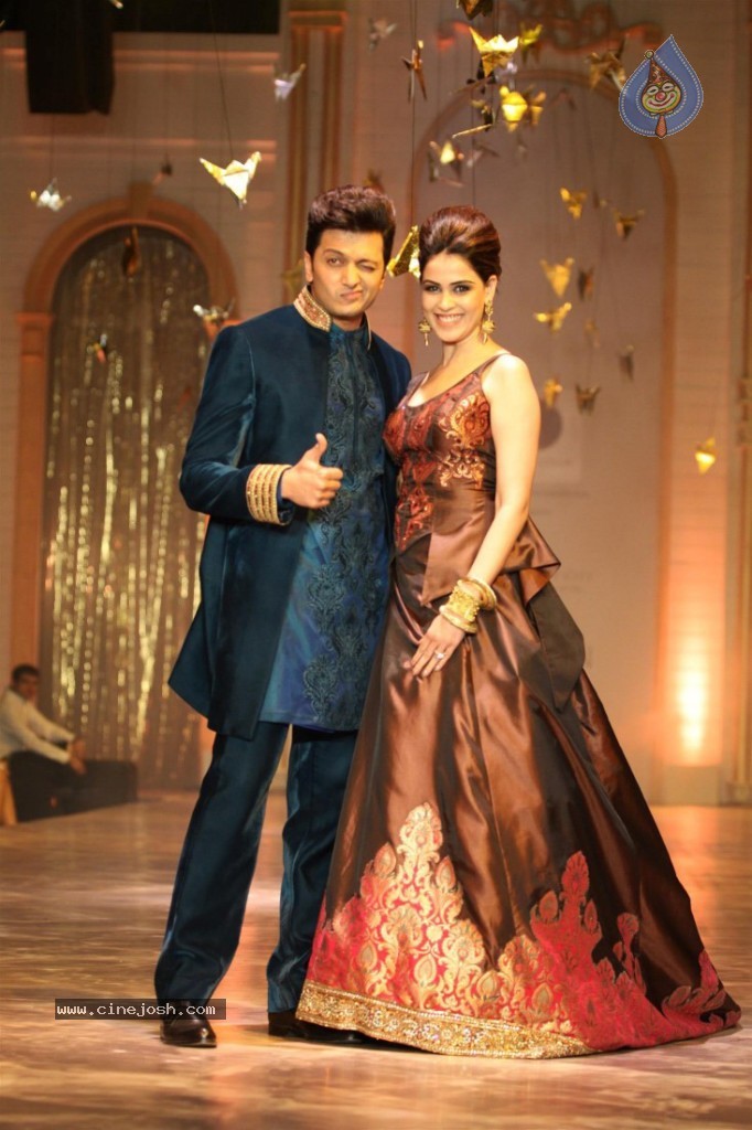 Celebs at AVIBW 2013 Grand Finale - 17 / 71 photos