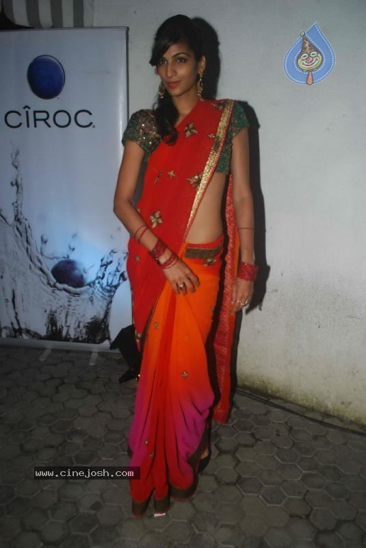 Celebs at Bartender Album Launch - 13 / 43 photos