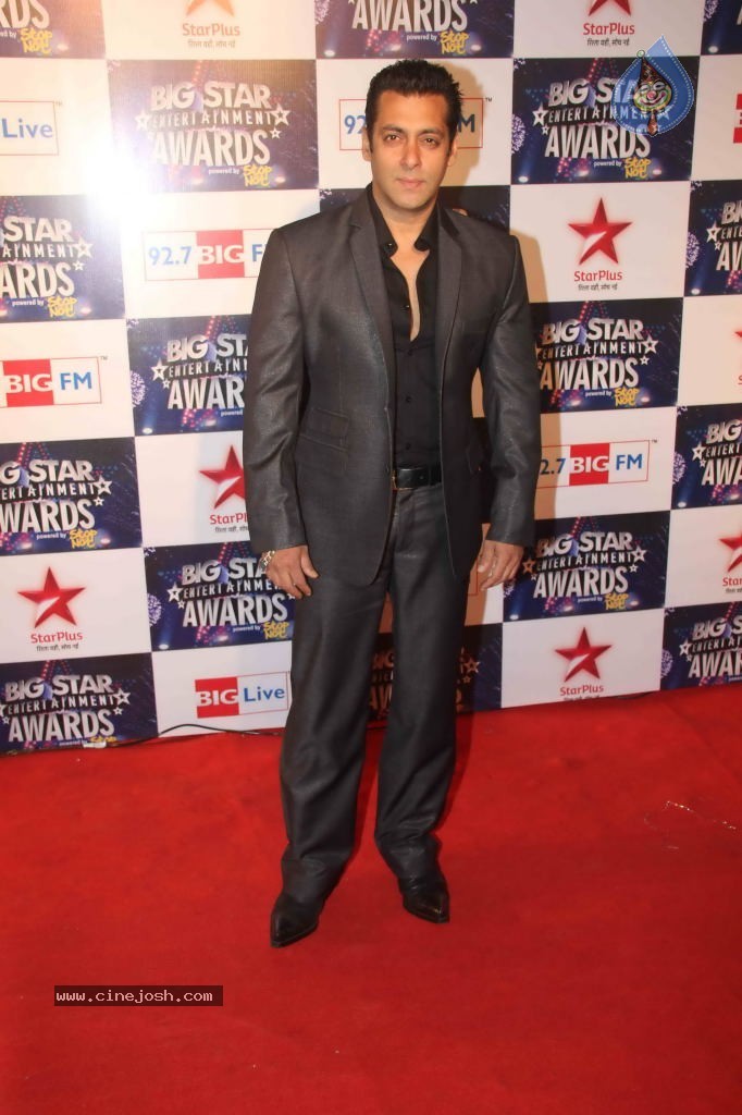 Celebs at BIG STAR Entertainment Awards 2011 - 48 / 114 photos
