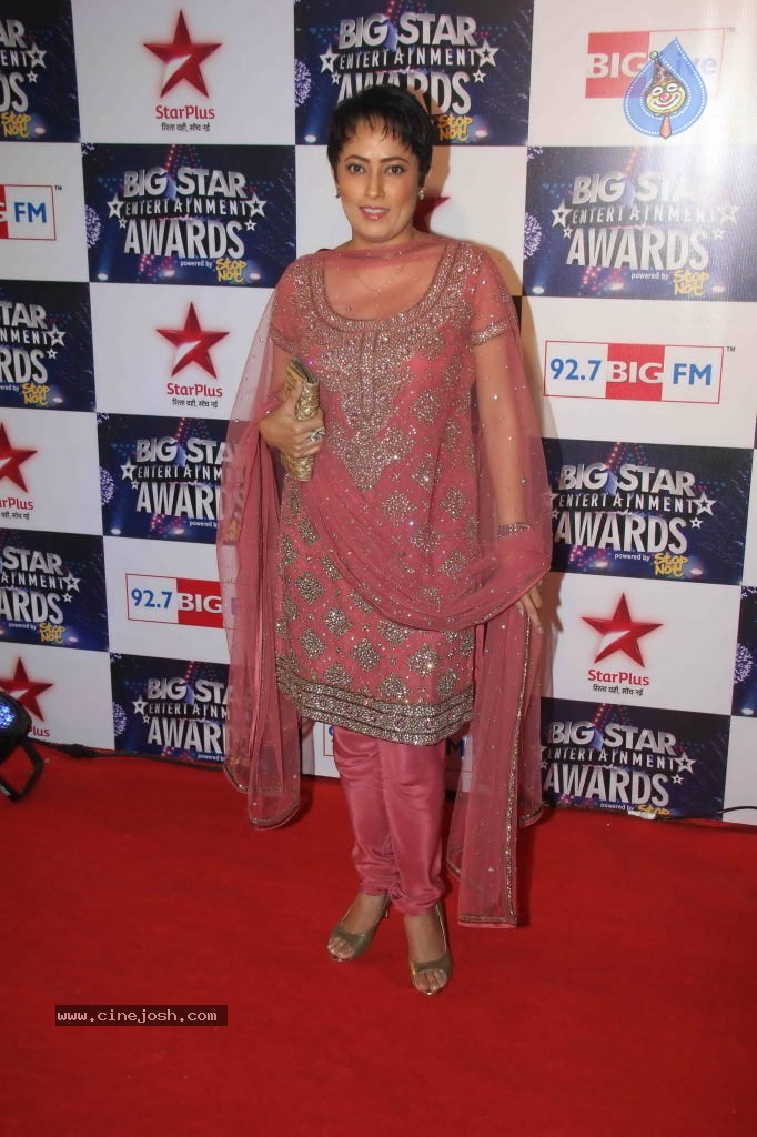 Celebs at BIG STAR Entertainment Awards 2011 - 54 / 114 photos