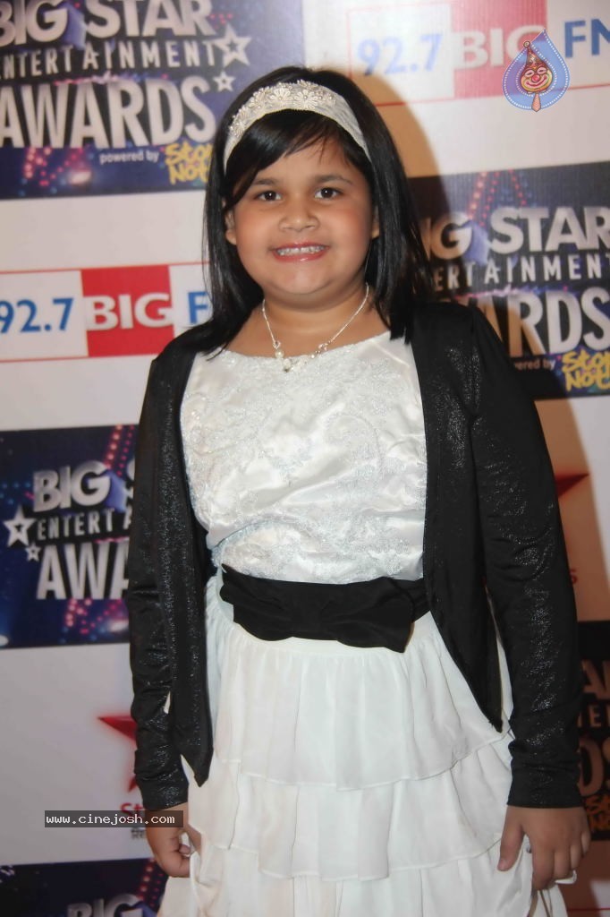 Celebs at BIG STAR Entertainment Awards 2011 - 70 / 114 photos