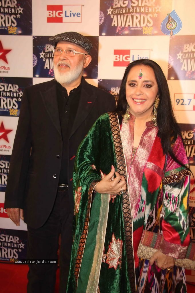 Celebs at BIG STAR Entertainment Awards 2011 - 93 / 114 photos