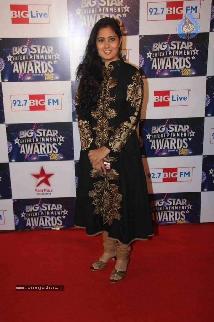 Celebs at BIG STAR Entertainment Awards 2011 - 99 / 114 photos