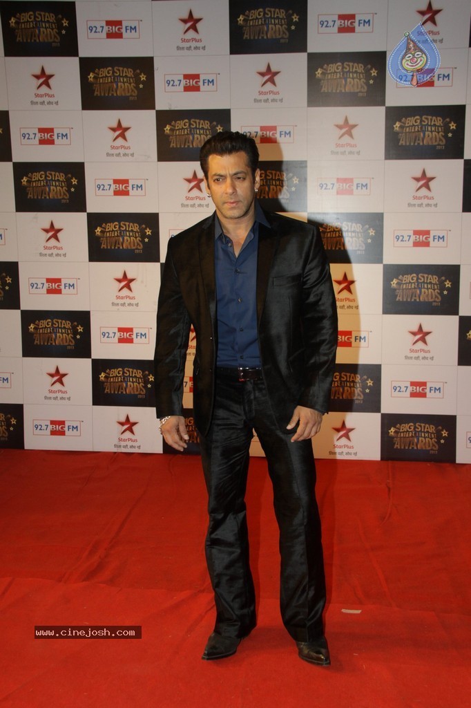 Celebs at Big Star Entertainment Awards 2013 - 2 / 54 photos