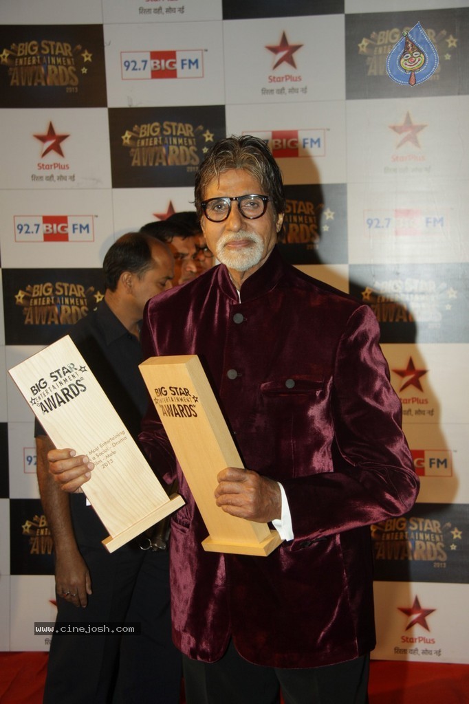 Celebs at Big Star Entertainment Awards 2013 - 5 / 54 photos