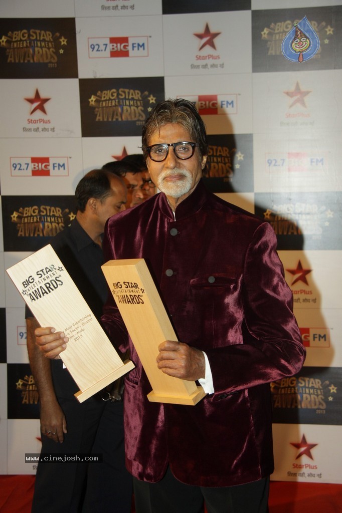 Celebs at Big Star Entertainment Awards 2013 - 5 / 54 photos