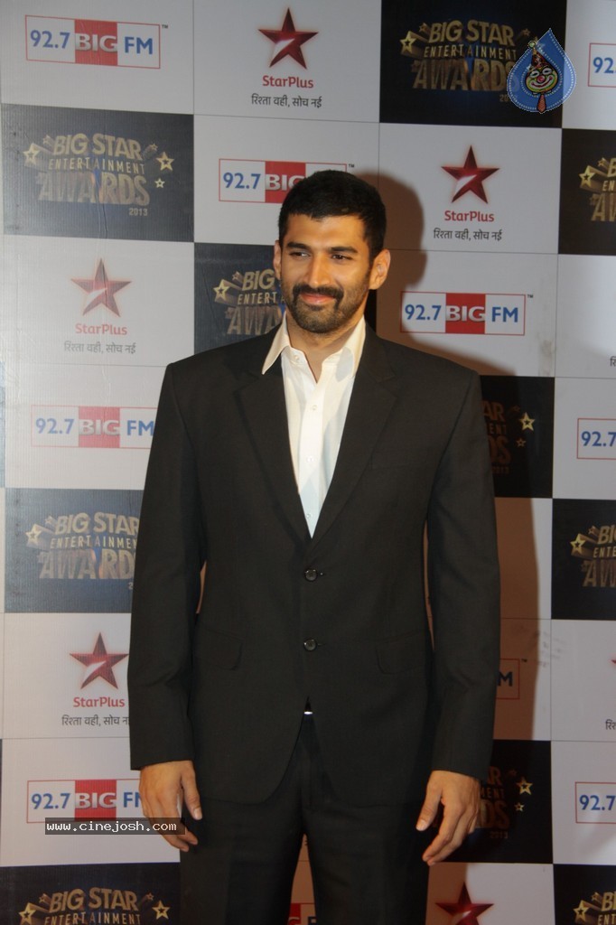 Celebs at Big Star Entertainment Awards 2013 - 7 / 54 photos