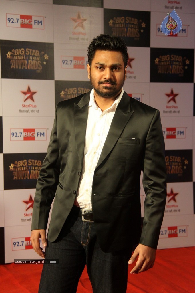 Celebs at Big Star Entertainment Awards 2013 - 12 / 54 photos