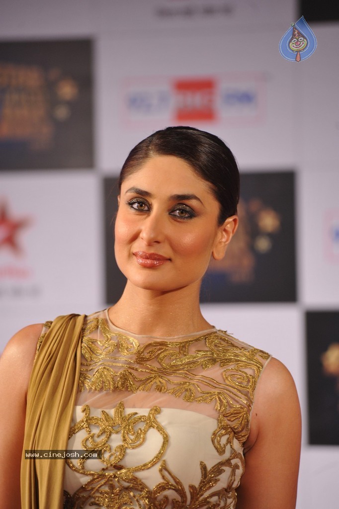 Celebs at Big Star Entertainment Awards 2013 - 14 / 54 photos