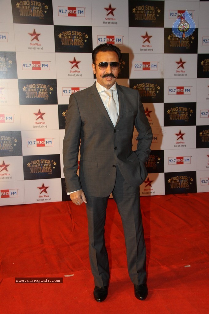 Celebs at Big Star Entertainment Awards 2013 - 30 / 54 photos