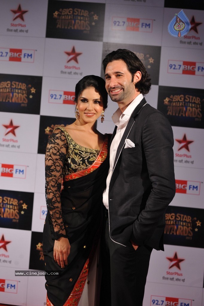 Celebs at Big Star Entertainment Awards 2013 - 33 / 54 photos