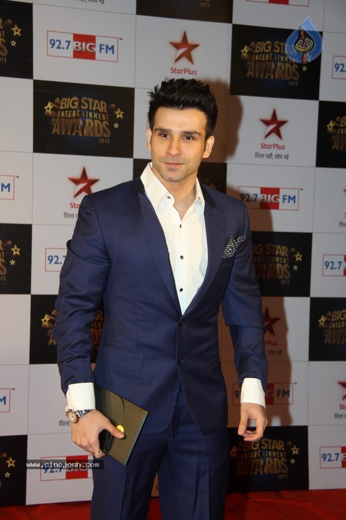 Celebs at Big Star Entertainment Awards 2013 - 34 / 54 photos