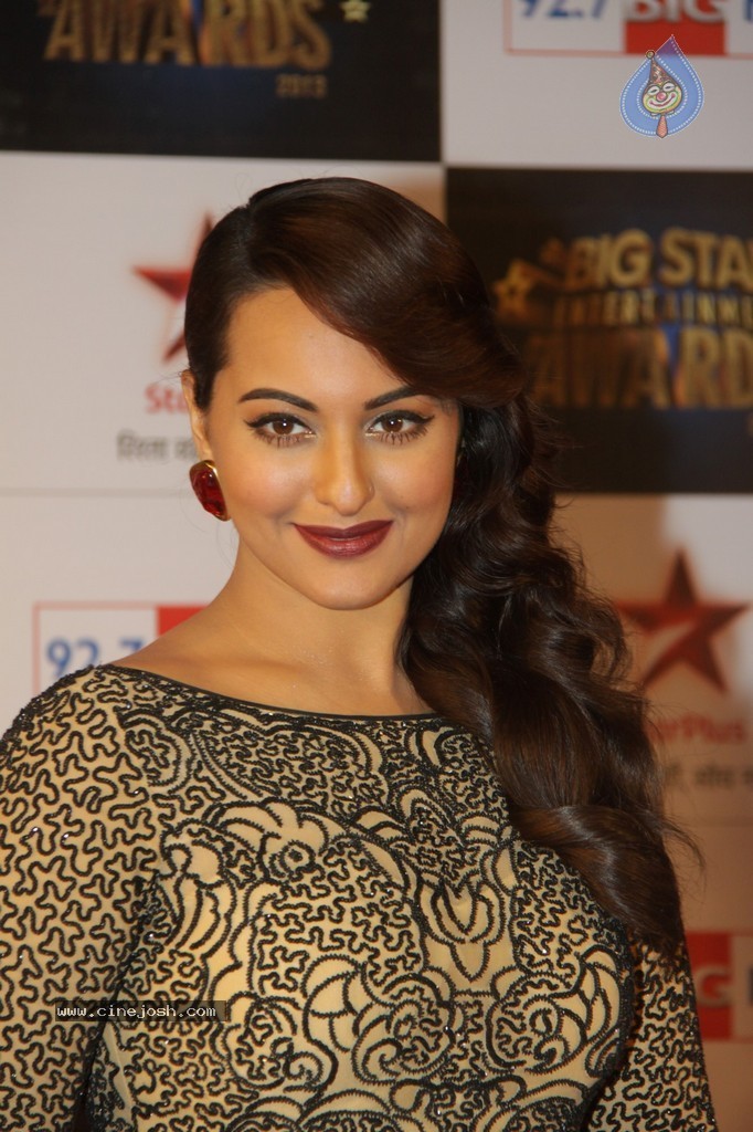Celebs at Big Star Entertainment Awards 2013 - 40 / 54 photos