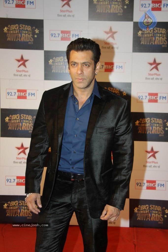 Celebs at Big Star Entertainment Awards 2013 - 47 / 54 photos
