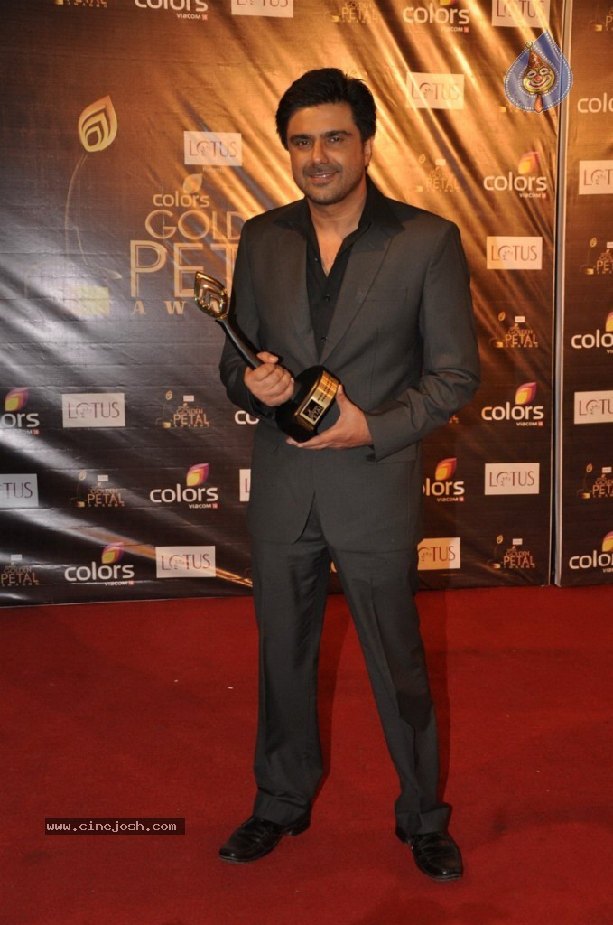 Celebs at Colors Golden Petal Awards 2012 - 14 / 86 photos