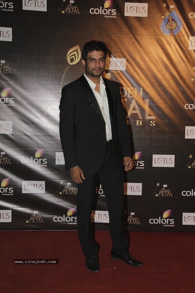 Celebs at Colors Golden Petal Awards 2012 - 21 / 86 photos