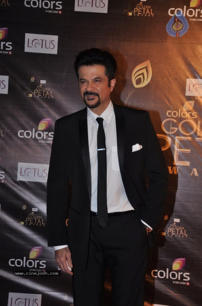 Celebs at Colors Golden Petal Awards 2012 - 41 / 86 photos