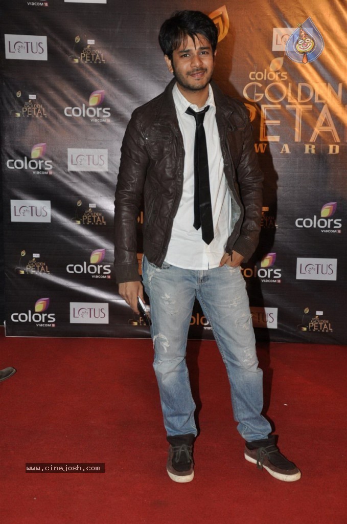 Celebs at Colors Golden Petal Awards 2012 - 61 / 86 photos