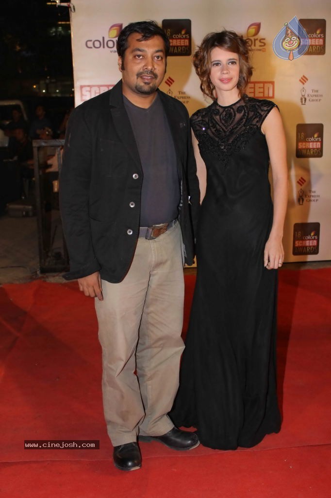 Celebs at Colors Screen Awards 2012 - 132 / 241 photos