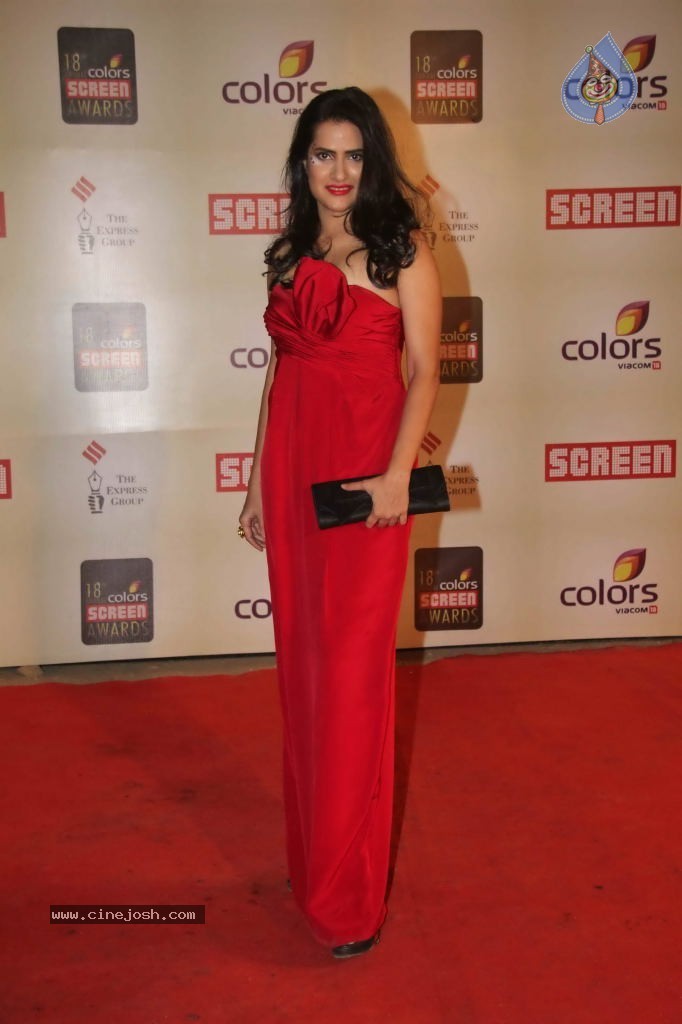 Celebs at Colors Screen Awards 2012 - 141 / 241 photos