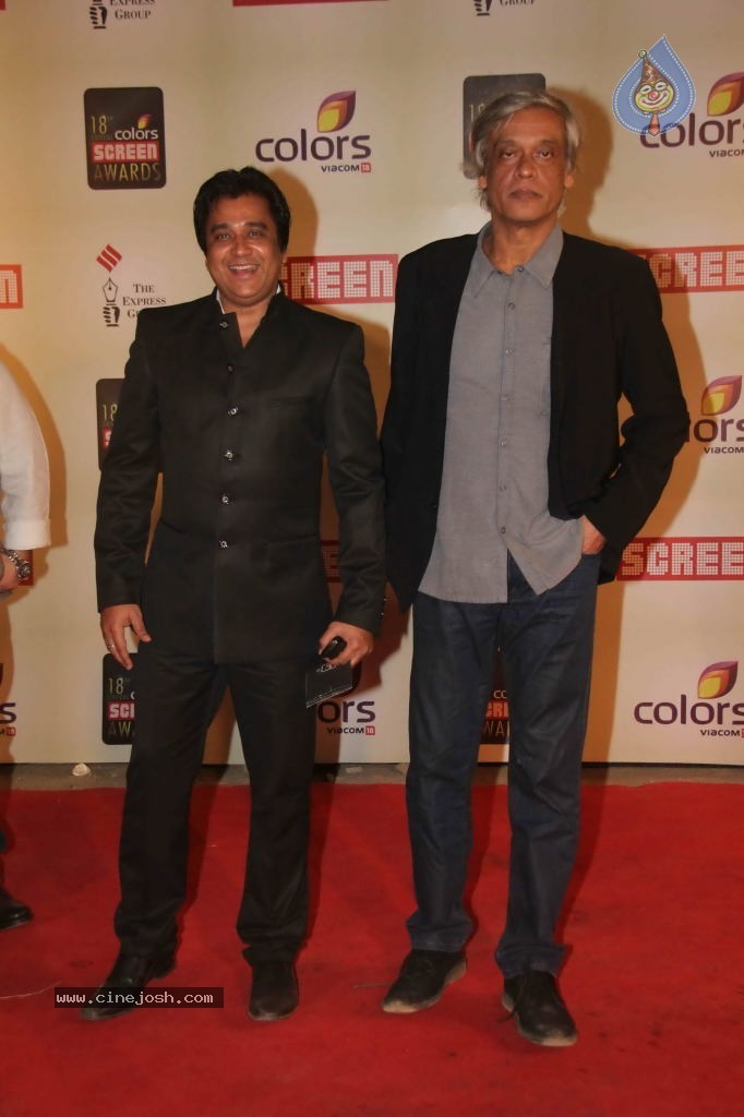 Celebs at Colors Screen Awards 2012 - 165 / 241 photos