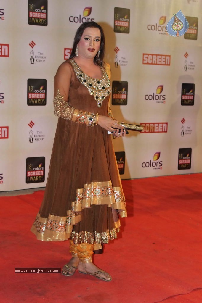 Celebs at Colors Screen Awards 2012 - 195 / 241 photos