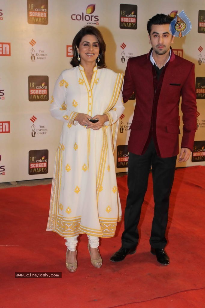 Celebs at Colors Screen Awards 2012 - 198 / 241 photos
