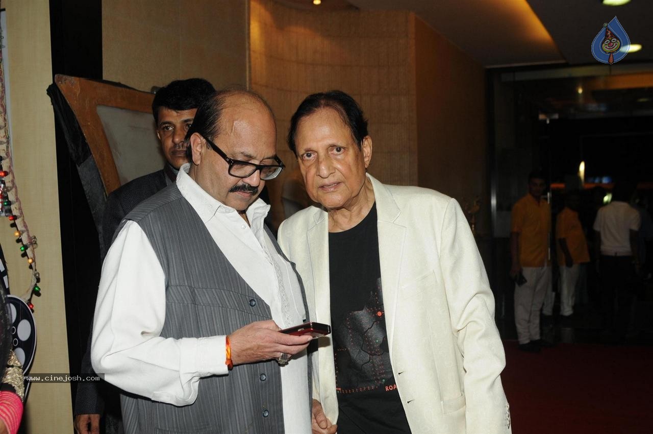 Celebs at Dadasaheb Phalke Film Foundation Awards 2015 - 20 / 113 photos