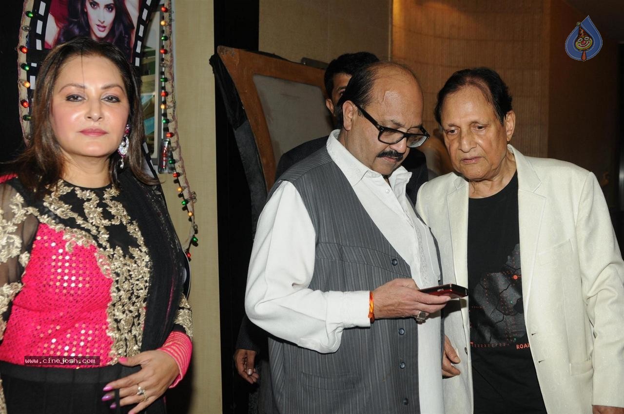 Celebs at Dadasaheb Phalke Film Foundation Awards 2015 - 53 / 113 photos