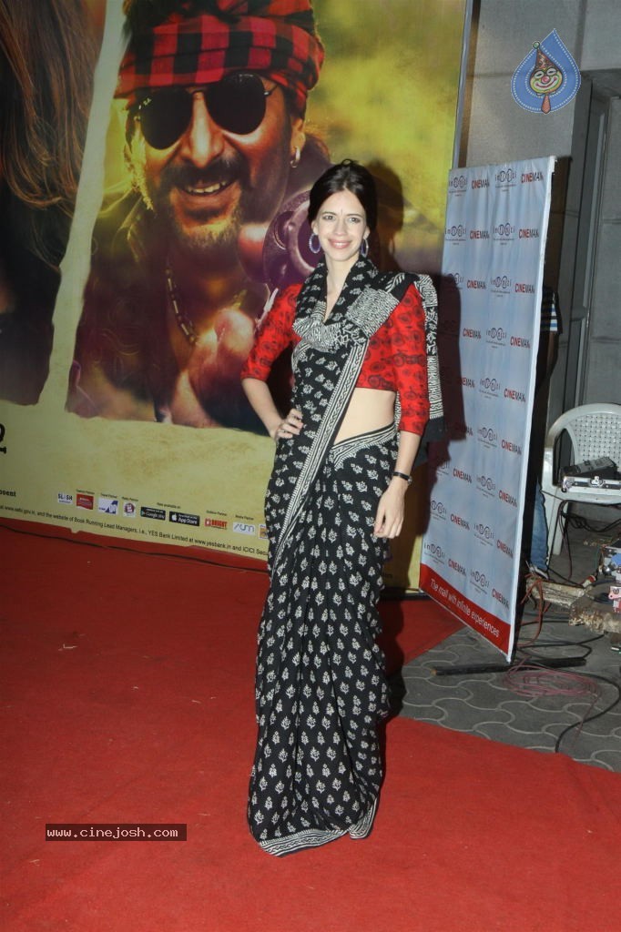 Celebs at Dedh Ishqiya Premiere - 66 / 74 photos