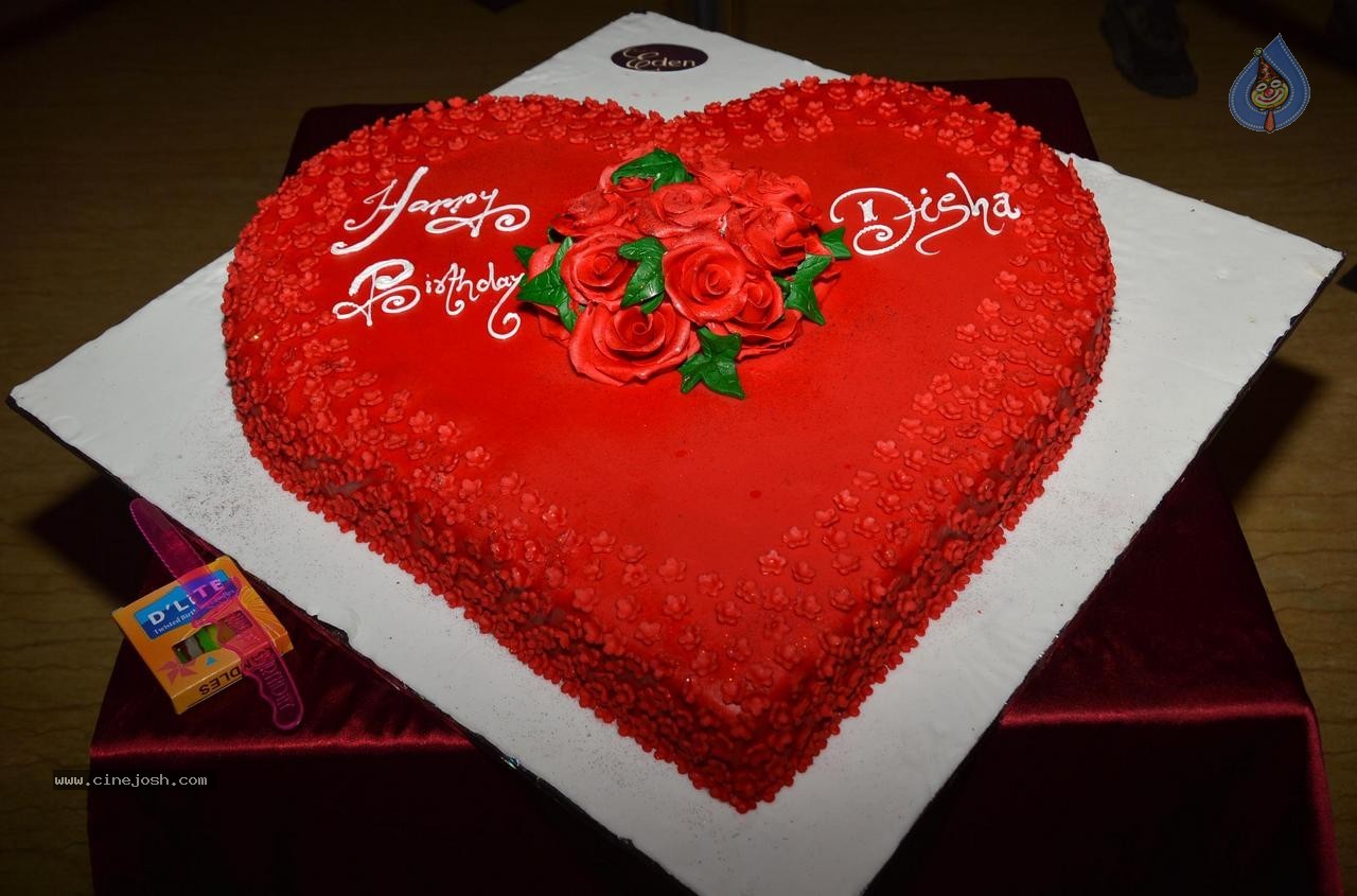 Celebs at Disha Birthday Party - 33 / 39 photos