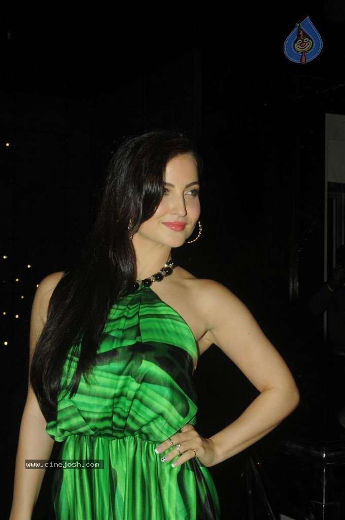 Celebs at Gionee FHM 100 Sexiest Women in the World 2014 Party - 92 / 121 photos