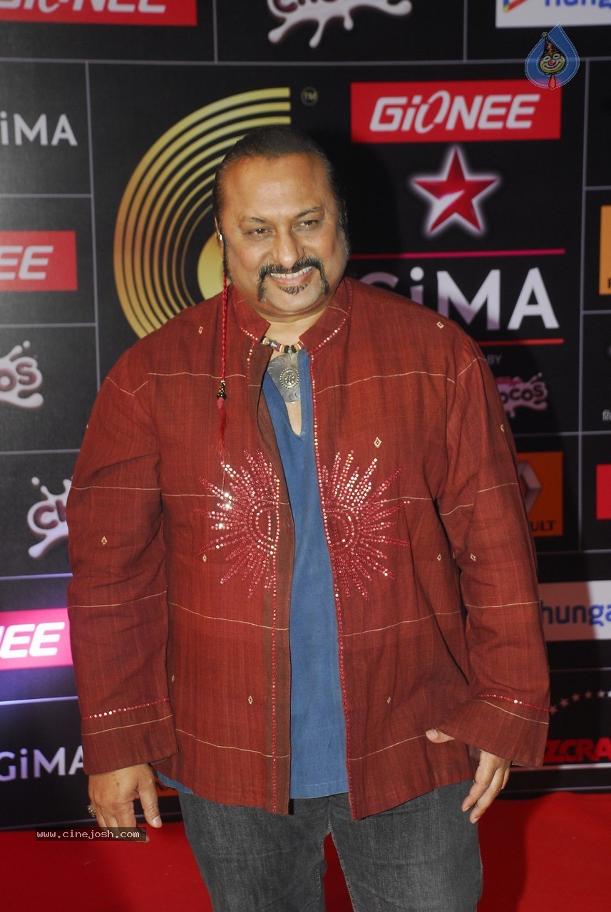 Celebs at Global Indian Music Awards 2015 - 17 / 76 photos