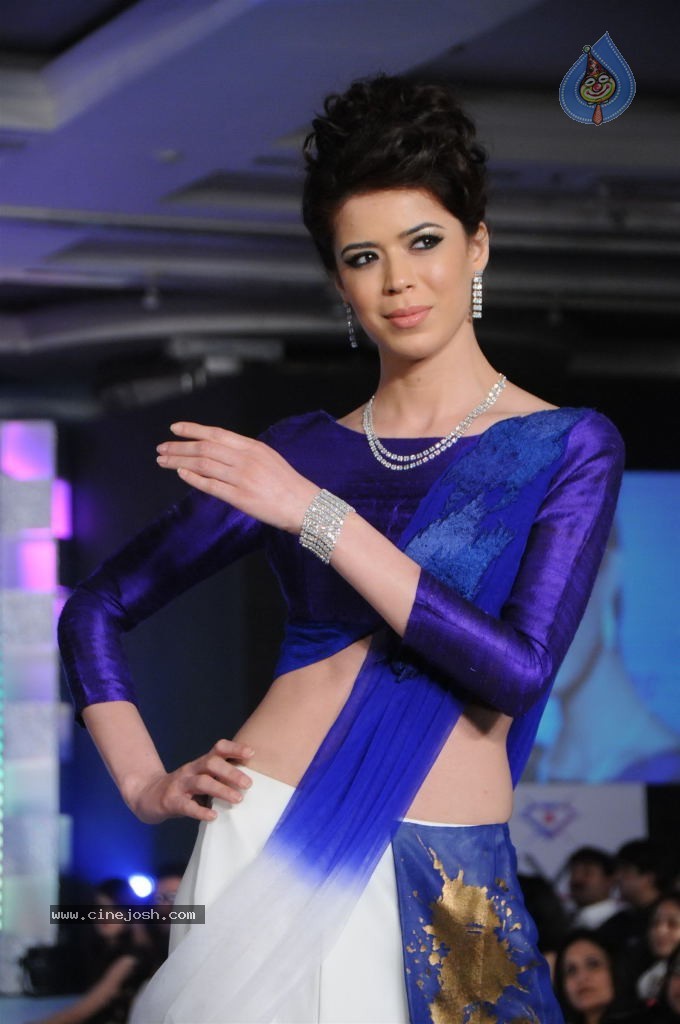 Celebs at HVK Jewels Fashion Show - 45 / 56 photos