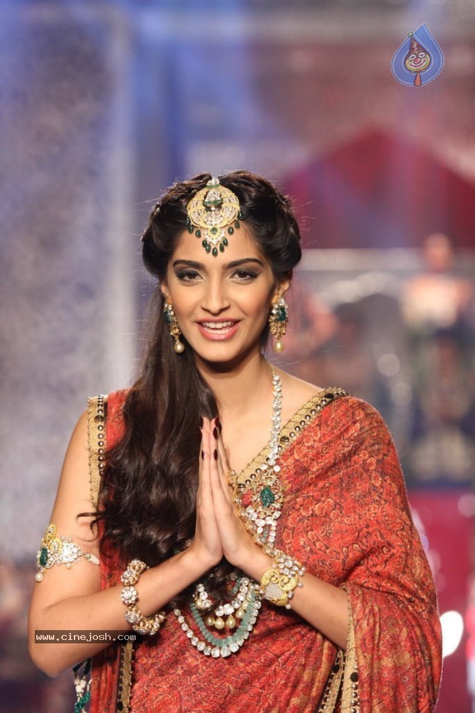 Celebs at IIJW 2013 Finale - 6 / 66 photos